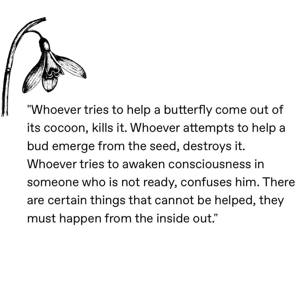 maximumpain333's tweet image. 