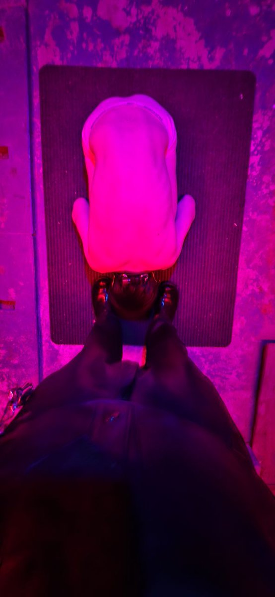 MikeWolfeXXX tweet media