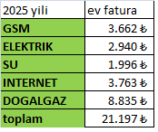 2025 yili ev faturalari calismasi...