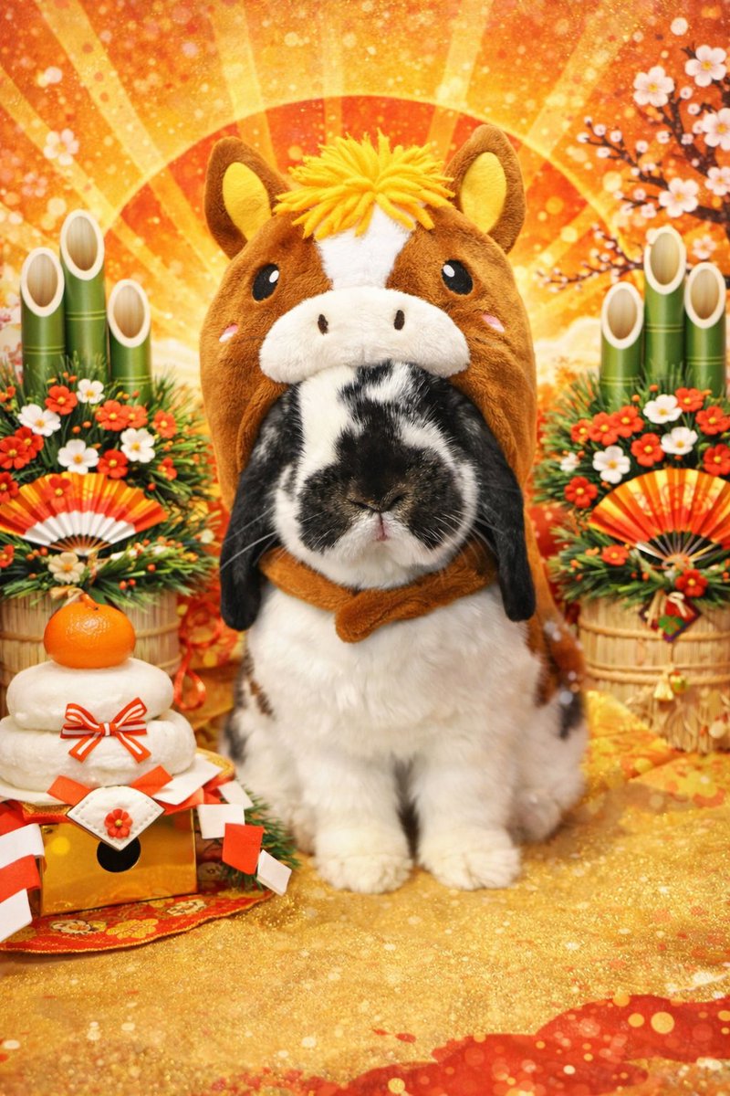 うさぎのバズ🐰I am Buzz tweet media