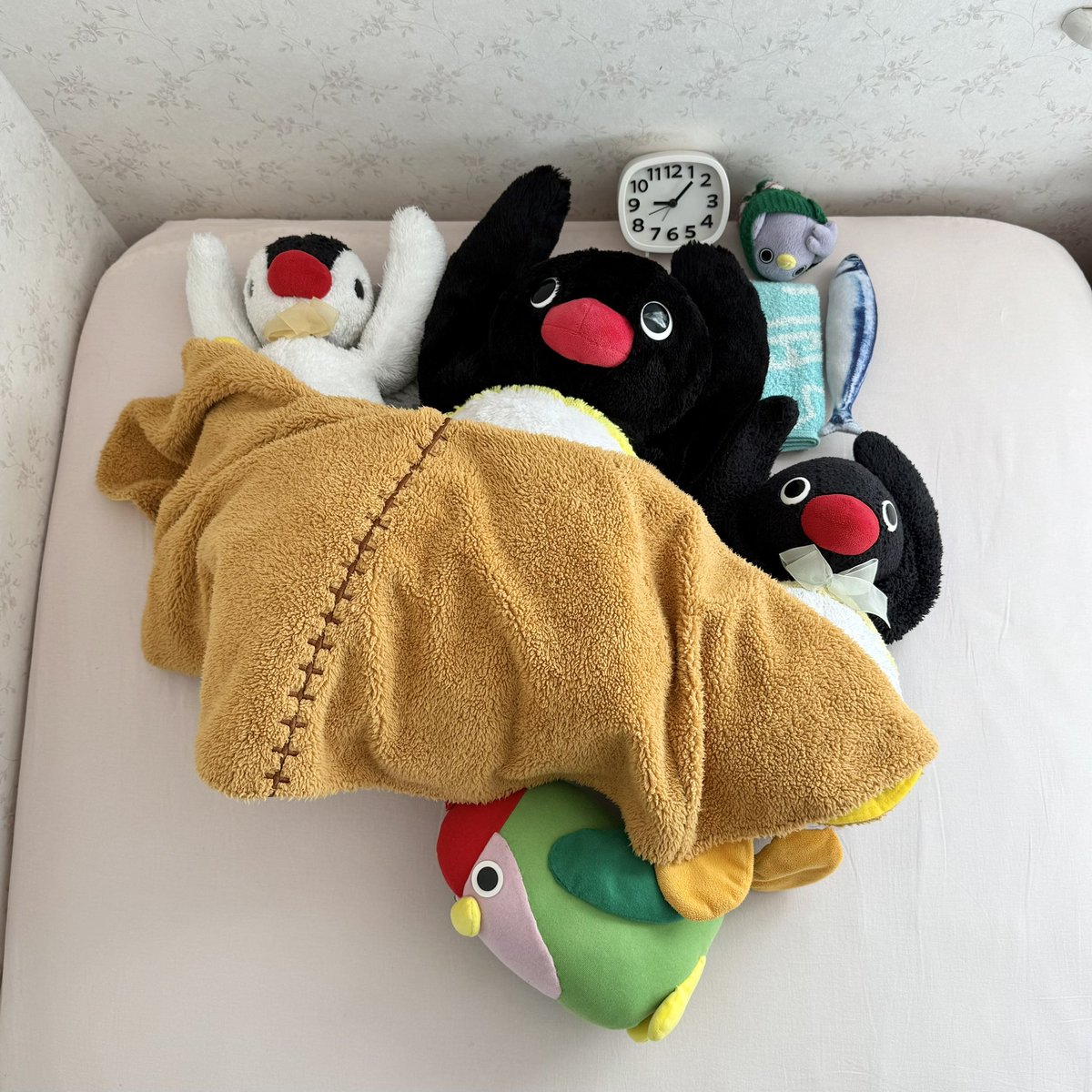 Happy New Year!!🐧💤