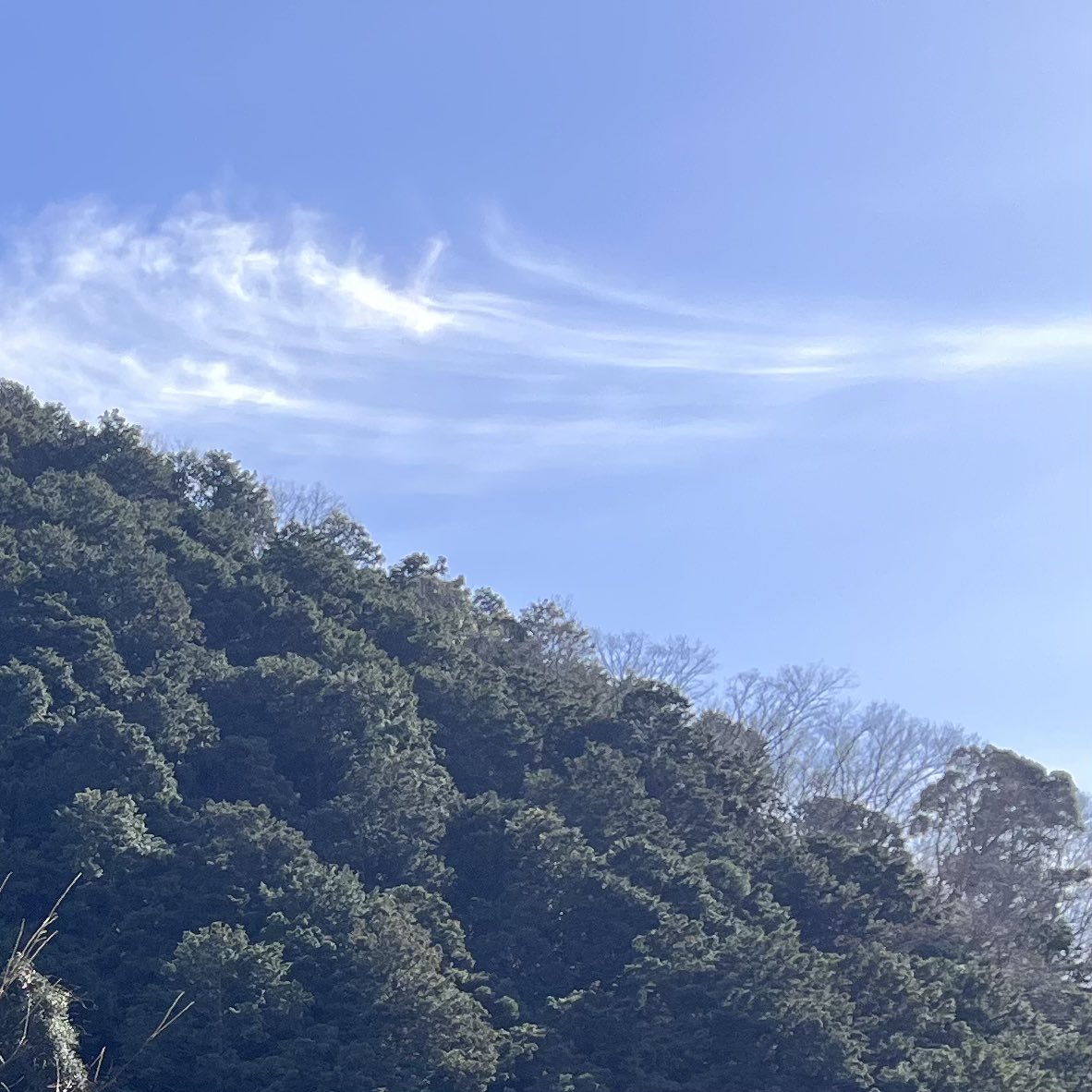 asamicocoro's tweet photo. 2026年
あけましておめでとうございます
今年もよろしくお願いいたします

いっぱい食べや〜 https://t.co/4C6IPWmIlO