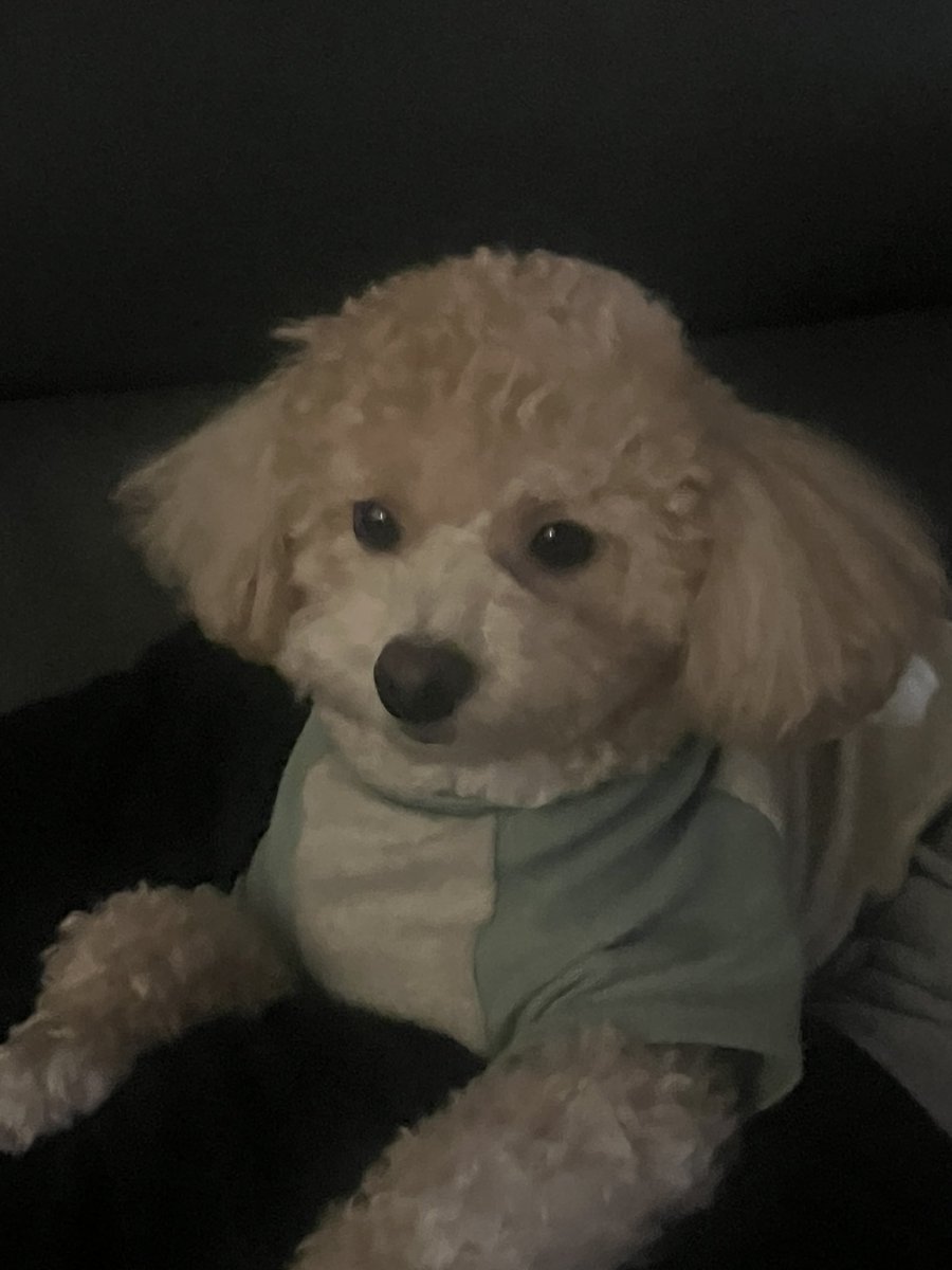 휘 tweet media