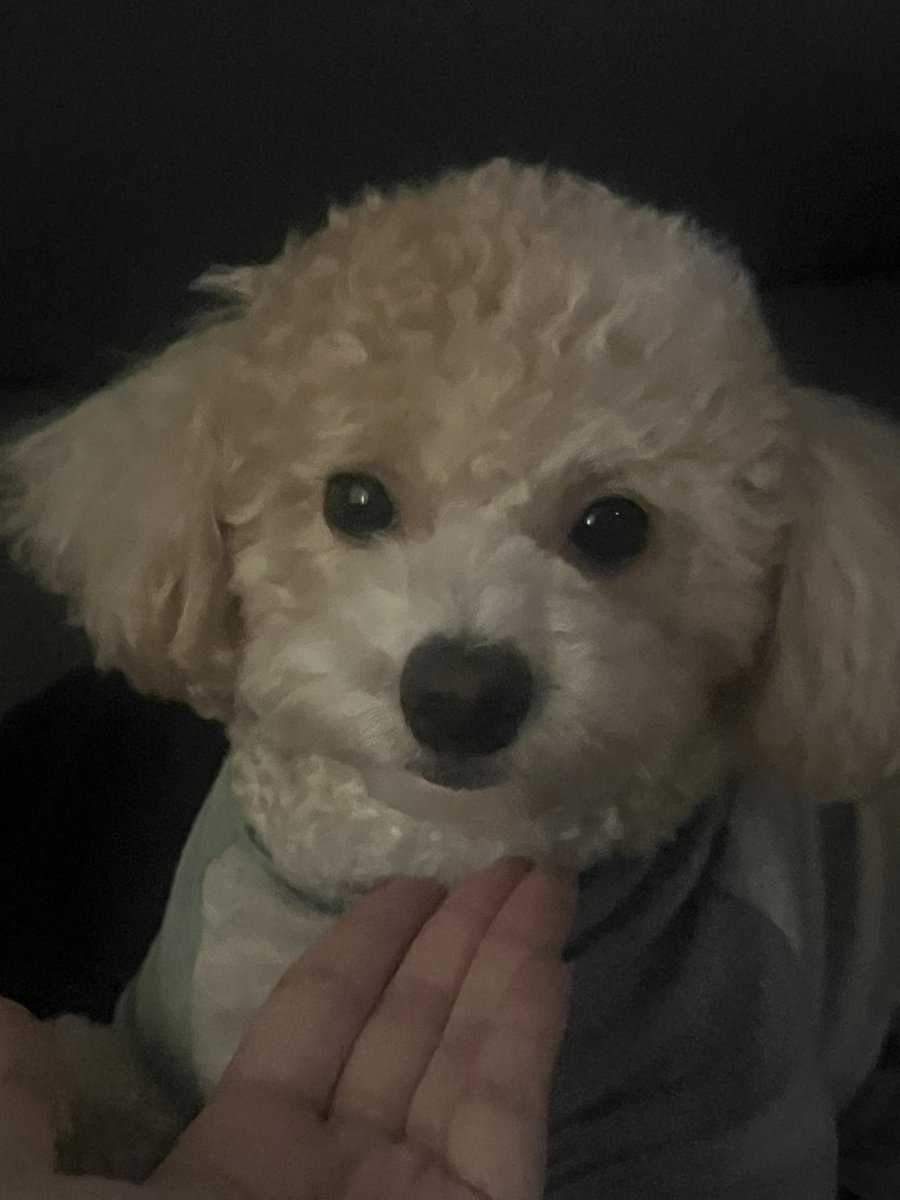 휘 tweet media