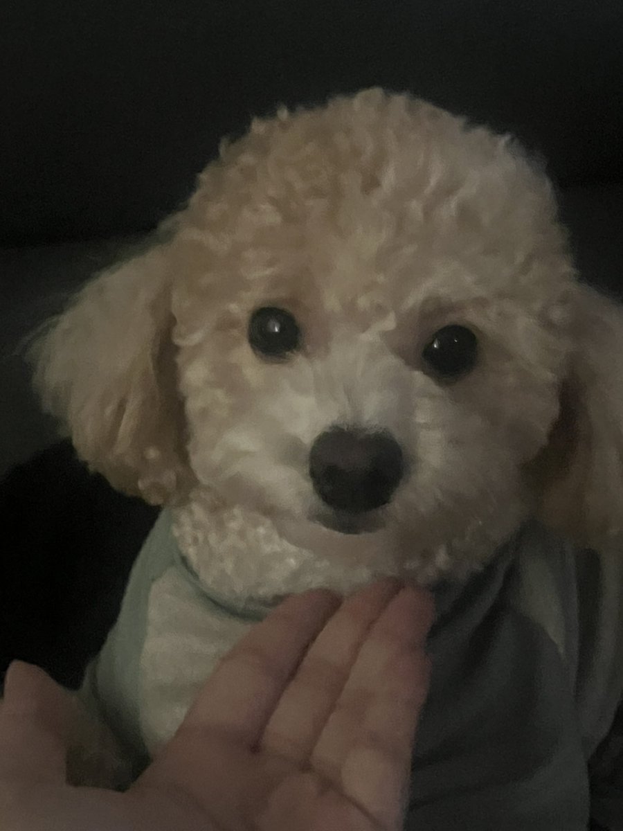 휘 tweet media