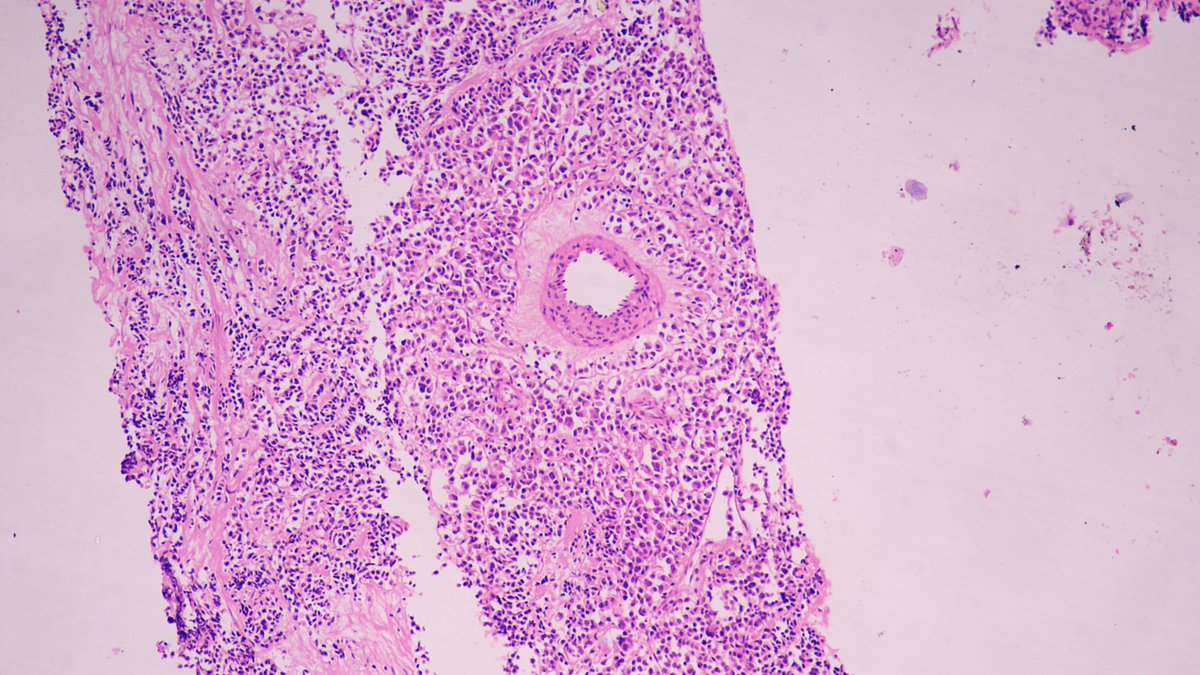 Sumanta Das tweet media