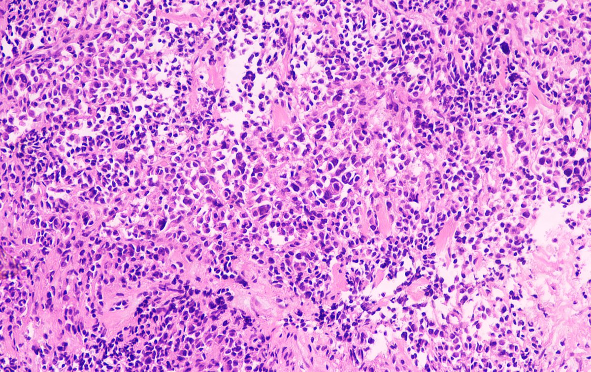 Sumanta Das tweet media