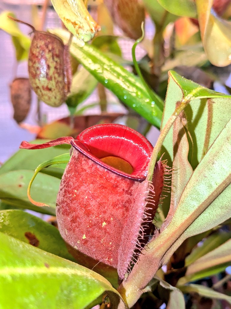 GEN (@GEN85413271) / Posts / X