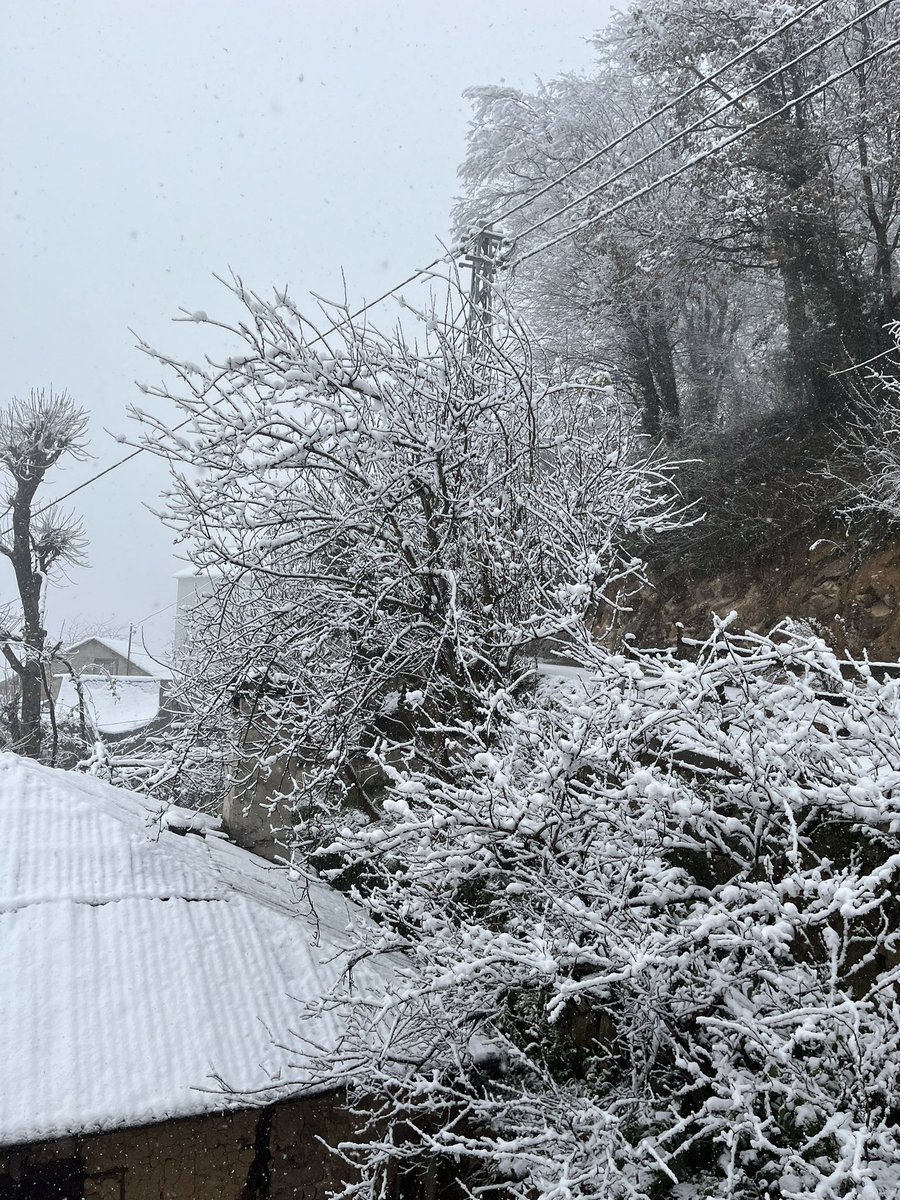 Siz kimi severseniz sevin taşı sevin betonu sevin ben Giresun’u ve köyümü çok seviyorum işte bu yüzden