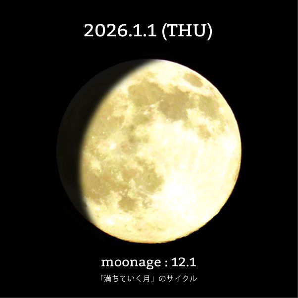 moon_cycle (@mooncylce) / Posts / X