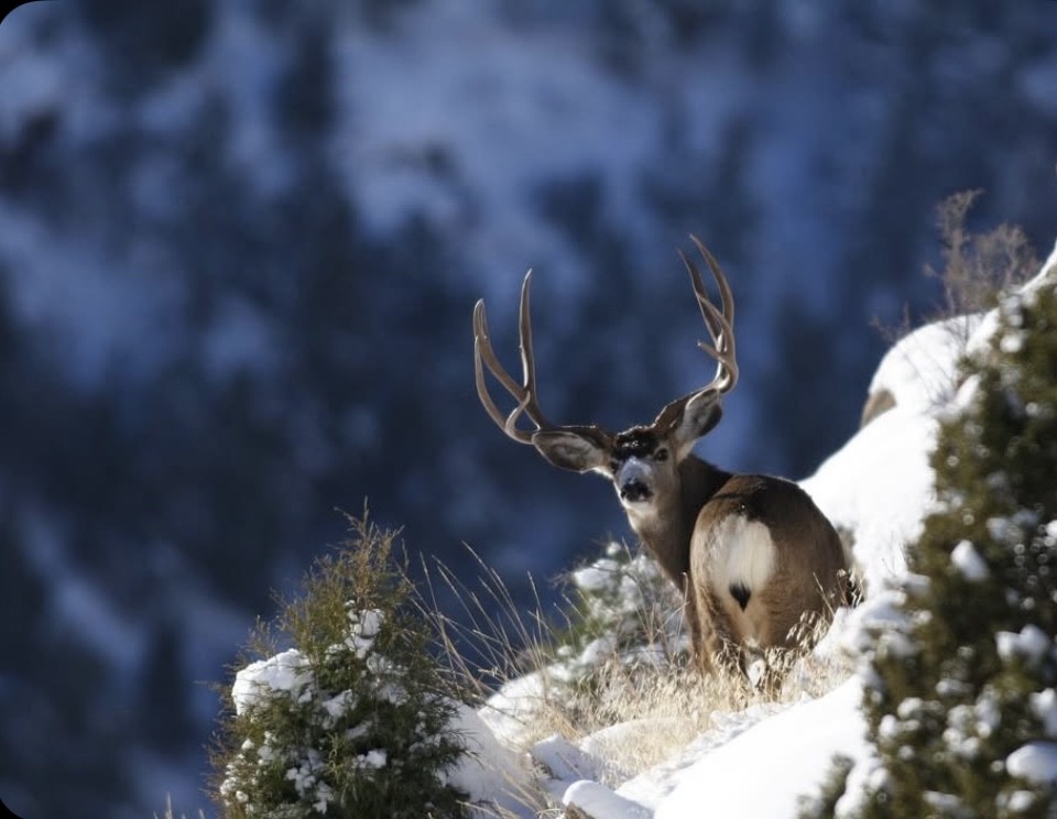 Outdoor Channel tweet media