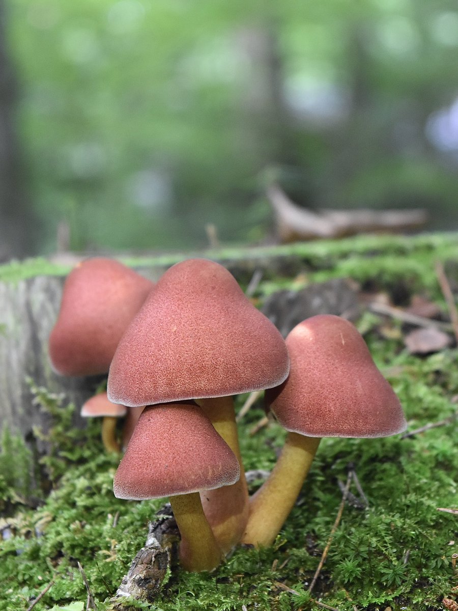 あけましておめでとうございます🎍