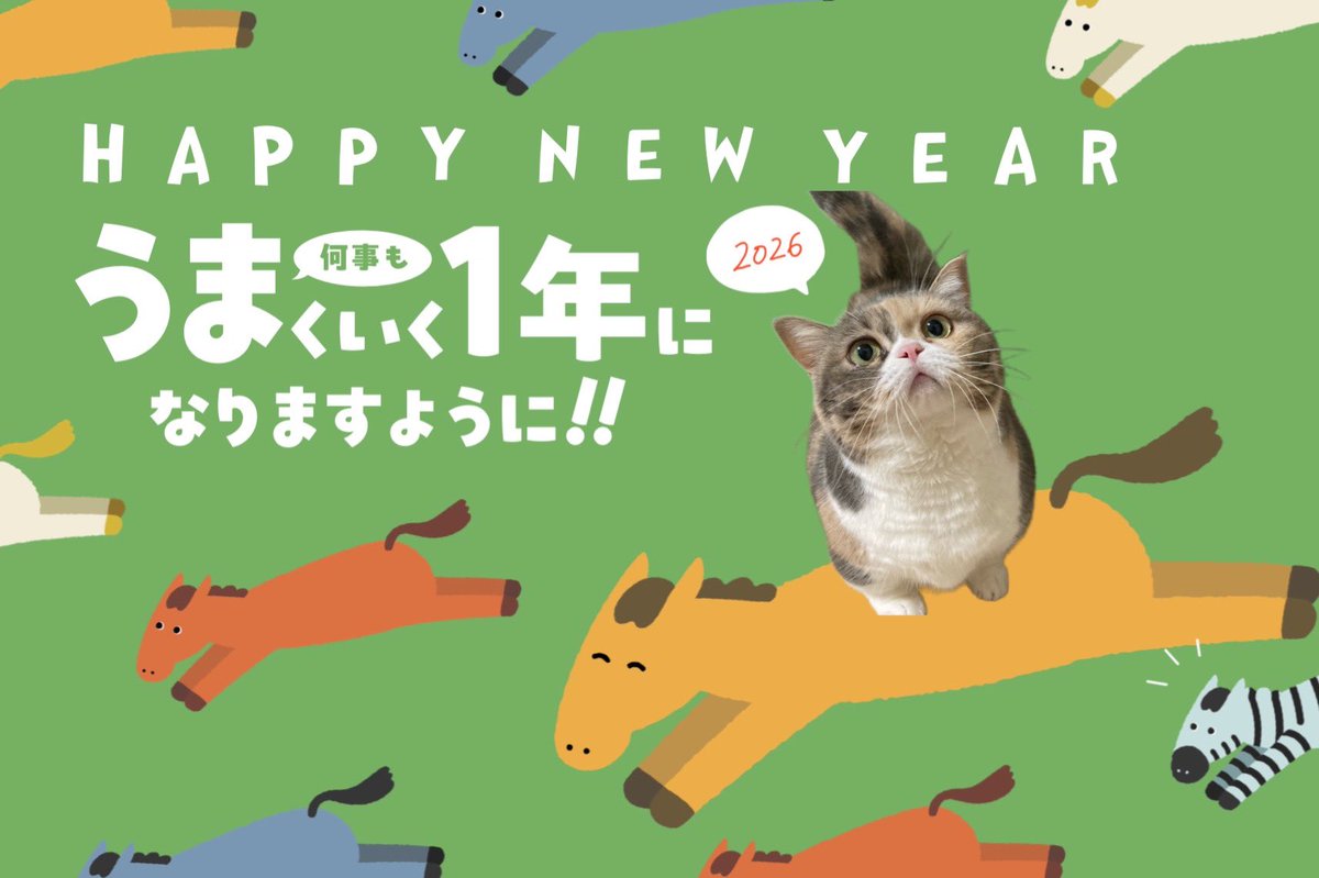 sui_1115's tweet photo. 新年あけましておめでとうございます🐴✨

2026年もすいちゃんをどうぞよろしくお願いします🩵

#お正月 #午年 #猫のいる暮らし #猫好きさんと繫がりたい https://t.co/de5md1Zrk0