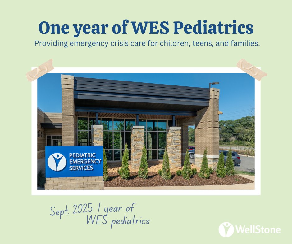 WellStone tweet media