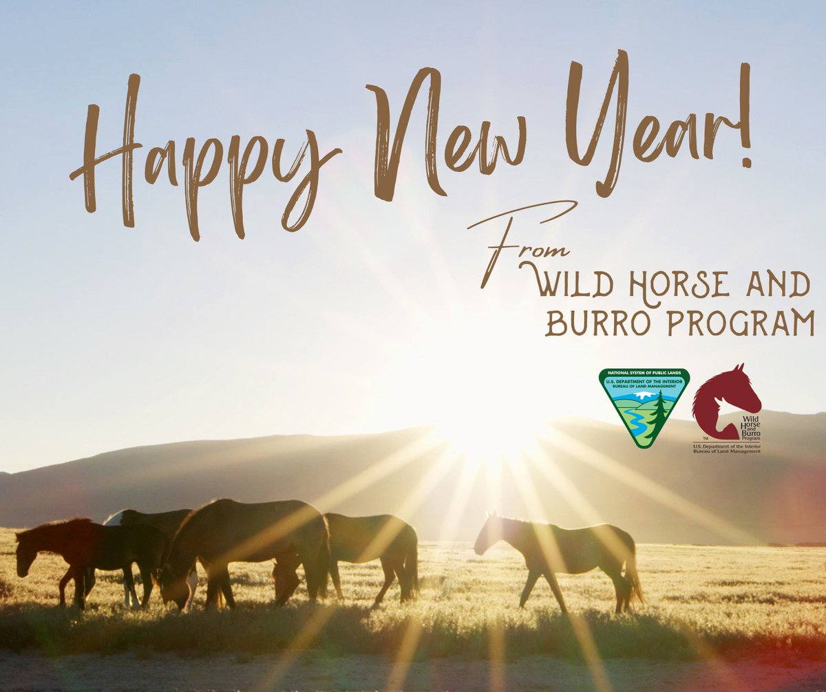BLM Wild Horse & Burro Program tweet media
