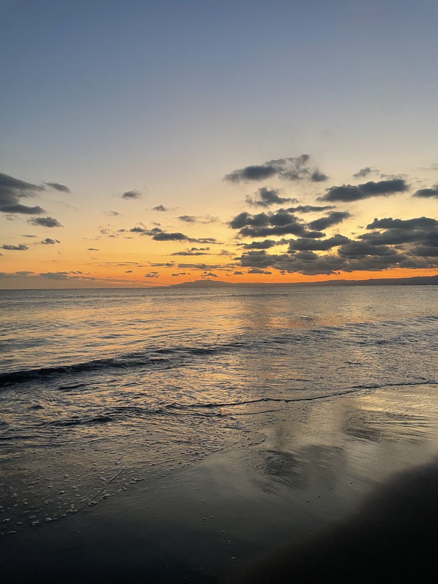 O64300's tweet image. 重馬場のダートで追い切りしてきた！
今年も頑張っていきましょう🌅🐎