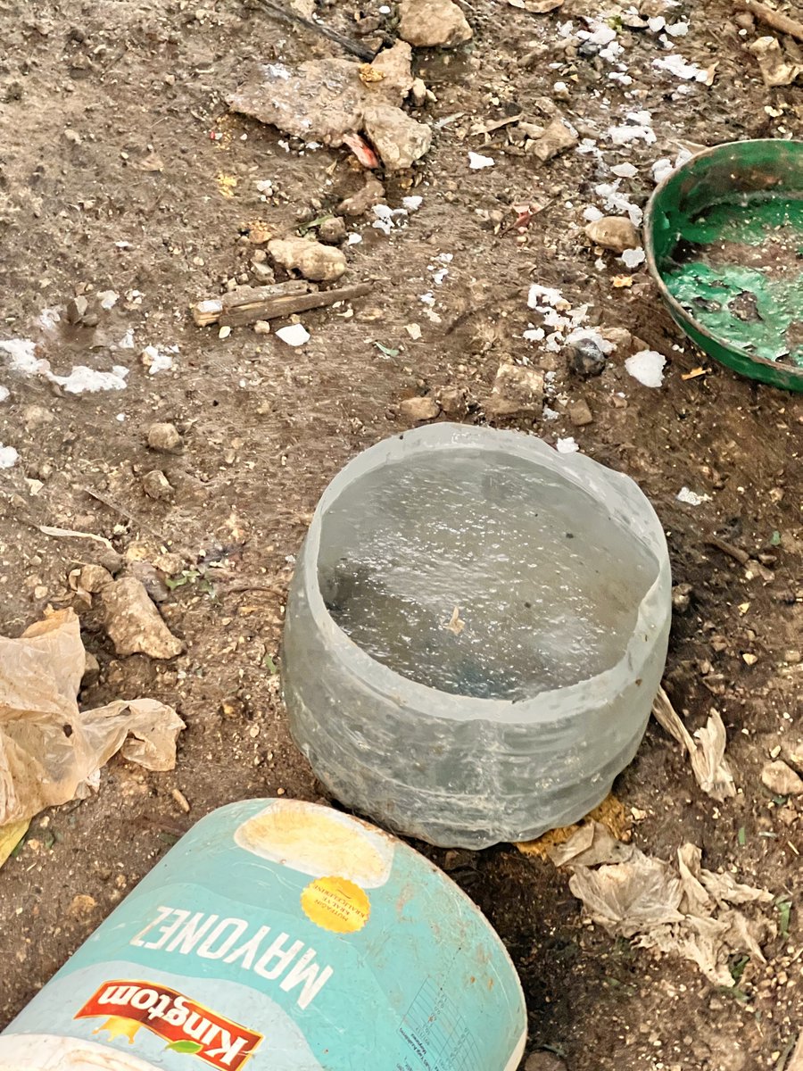 Bir vatandaş yılbaşı tatili için memleketine, Samsun'un Ladik ilçesine gidiyor. Çöp atarken yavru köpek seslerini duyuyor, alana bakıyor, anlam veremiyor ve bize haber veriyor. Samsun'dan hareketle yola çıkarak ihbarı yerinde değerlendirdik. Maalesef uygun olmayan bu alan,