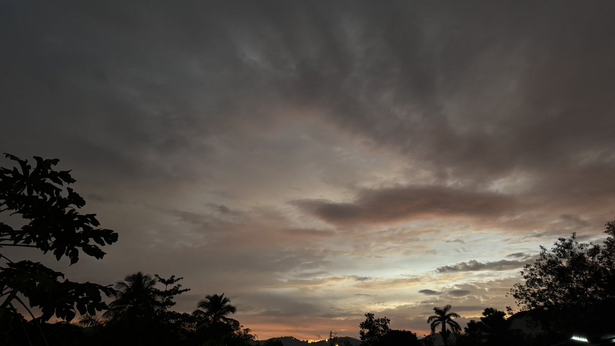 Leidy Díaz tweet media