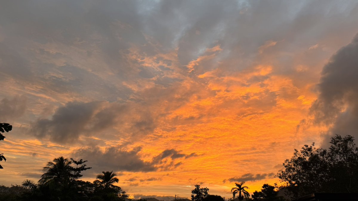 Leidy Díaz tweet media