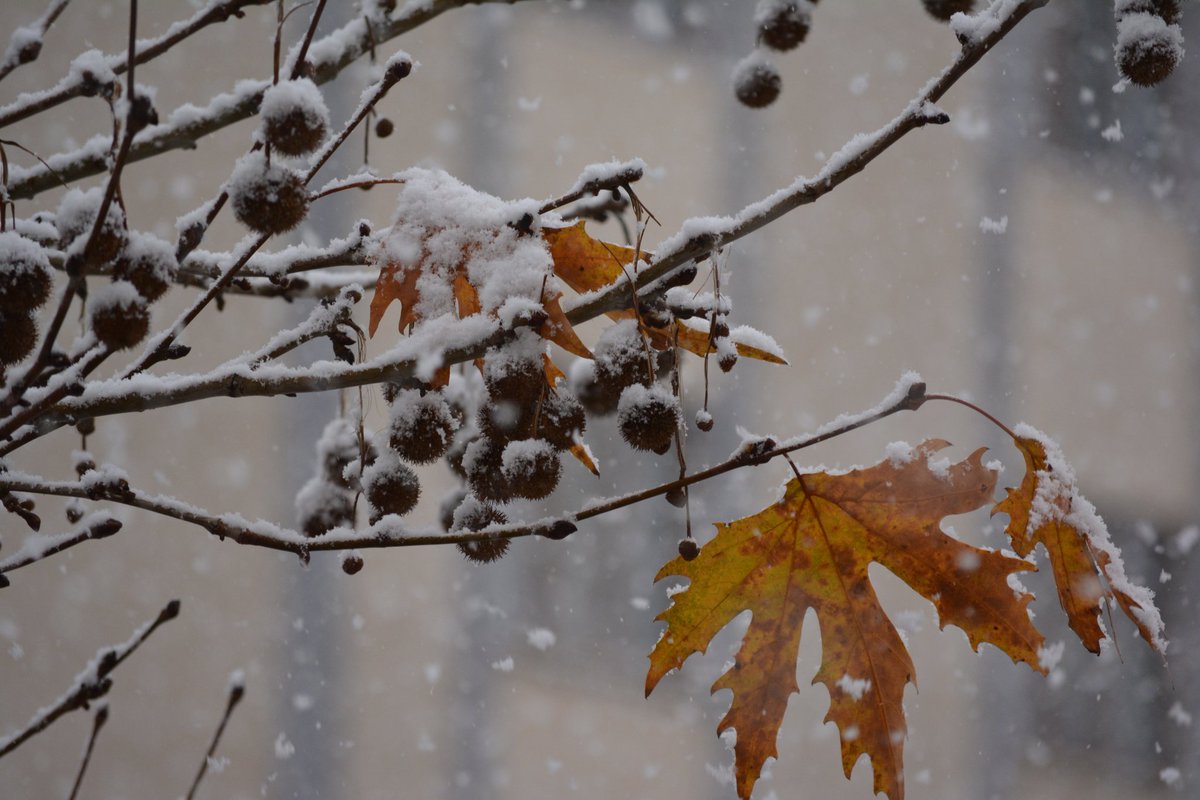 First Snow of 2026 /ISTANBUL