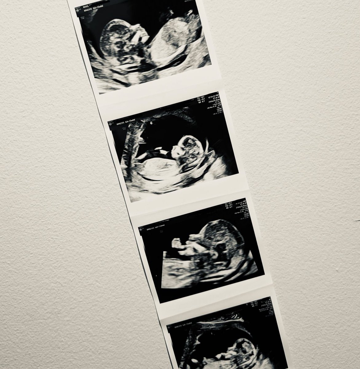 Miles Ross Jnr tweet media