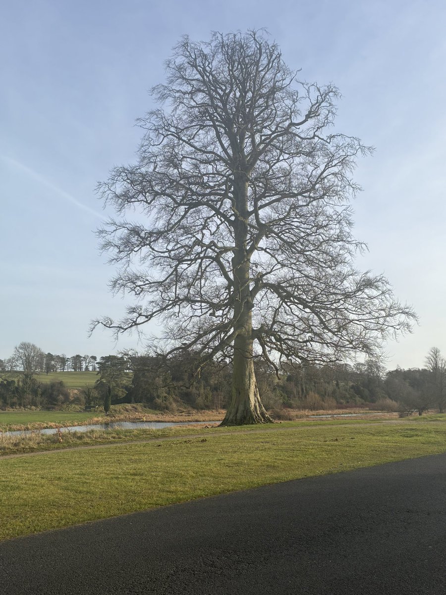 Breege Hannify tweet media