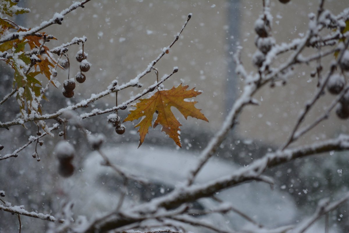 Hayrish (@hayrish__) on Twitter photo 