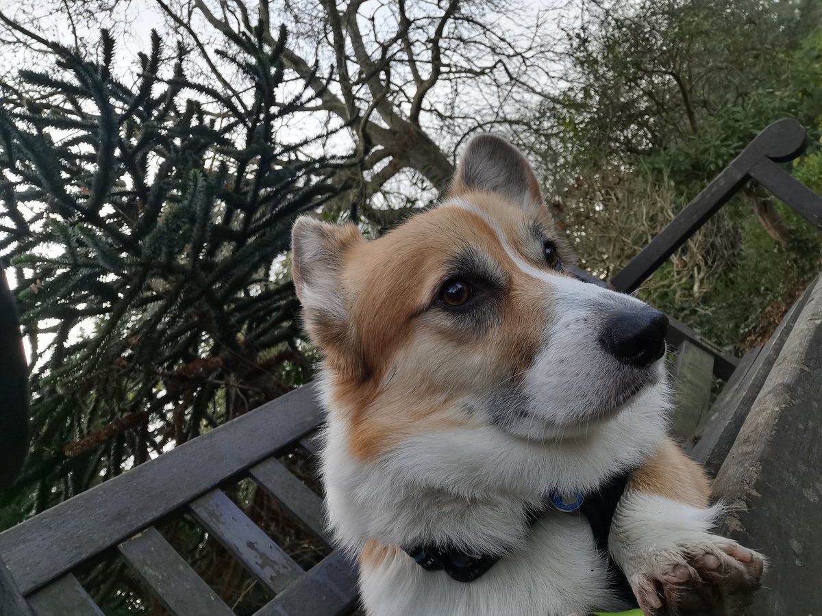 Маслёнок пишет (@shineblu_live) on Twitter photo 