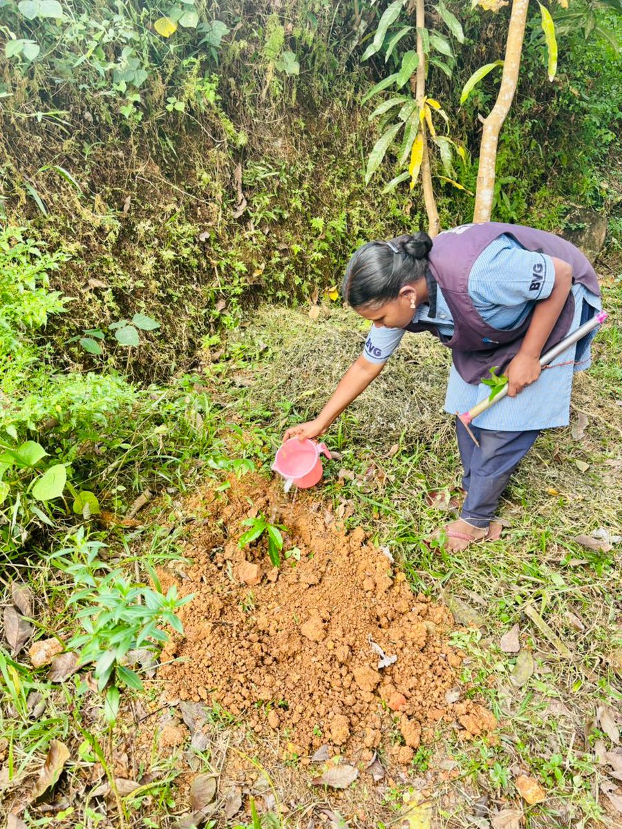 iimckottayam's tweet photo. A symbolic beginning 🌱
Prof. Dr. S. Anil Kumar, Regional Director, @iimckottayam, planted a sapling to commemorate the initiation of the Ph.D. programme at @IIMC_India  . 
A gesture rooted in growth, inquiry, and the pursuit of knowledge.

#iimckottayam #phdprogramme  #iimcdelhi https://t.co/ufWC9WIpzQ