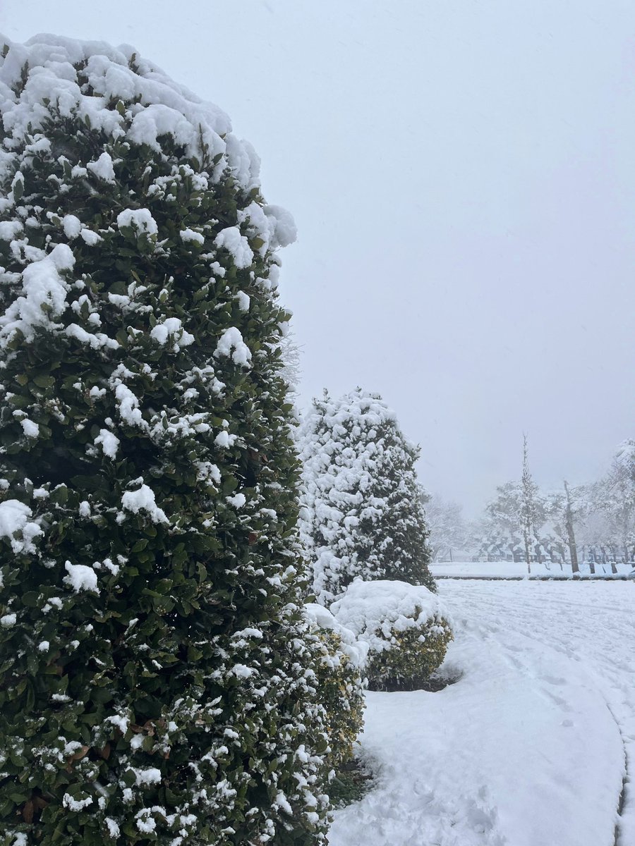 Yeni yıl , bembeyaz bir sayfa gibi geldi ❄️🤍😌