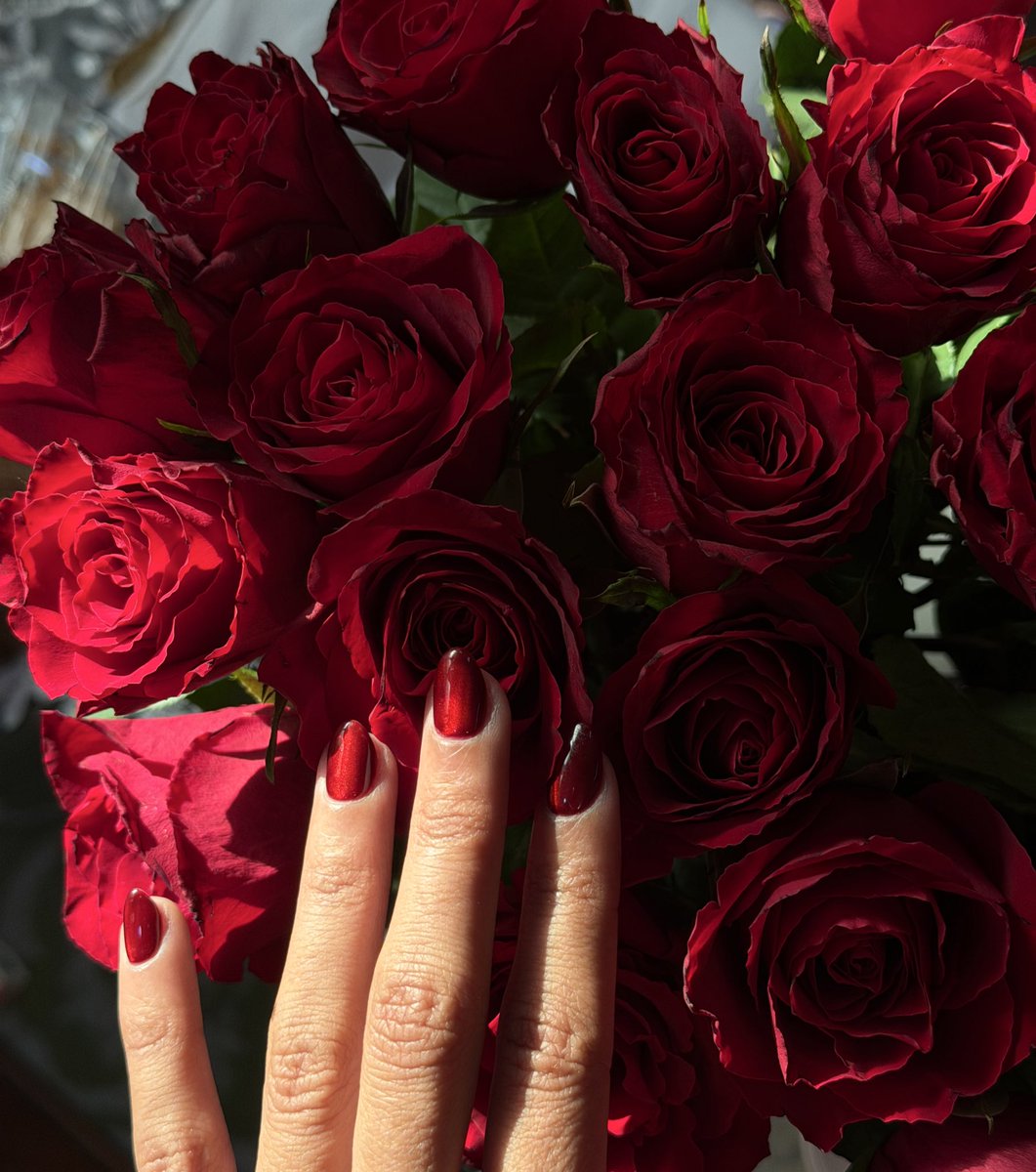 AminaA3's tweet photo. 2025 Highlight of❣️💍

ممنون للدنيا على هالمحبّة✨ https://t.co/tJZD0Mcs2I