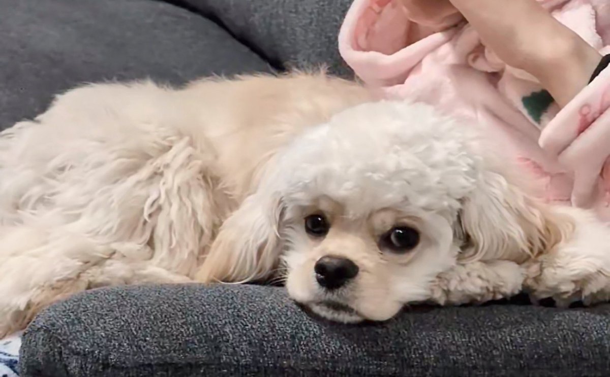 MOさま確認ページ♡ リザーブストックの初期設定 | Office SAKI株式会社