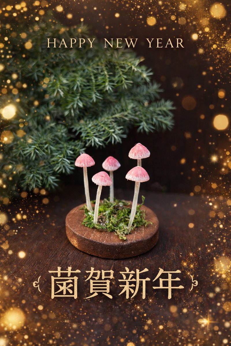 Toadstool_kana's tweet photo. 今年もよろしくお願いします https://t.co/l9jjxWbC4t