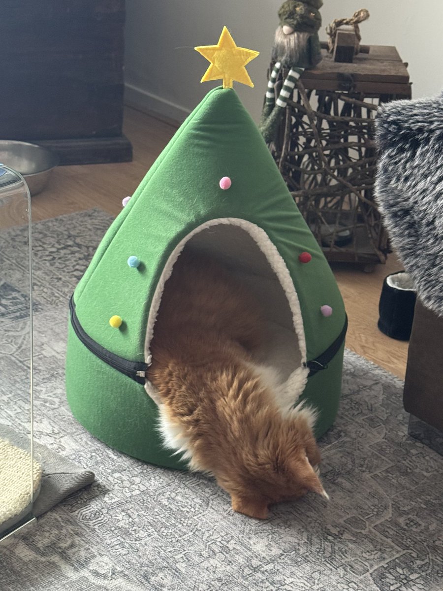 Mens even goed laten schrikken. 😼

(Maak je geen zorgen, gewoon diepe slaap!)