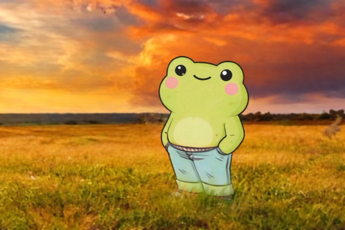 Trenchers Diary tweet media