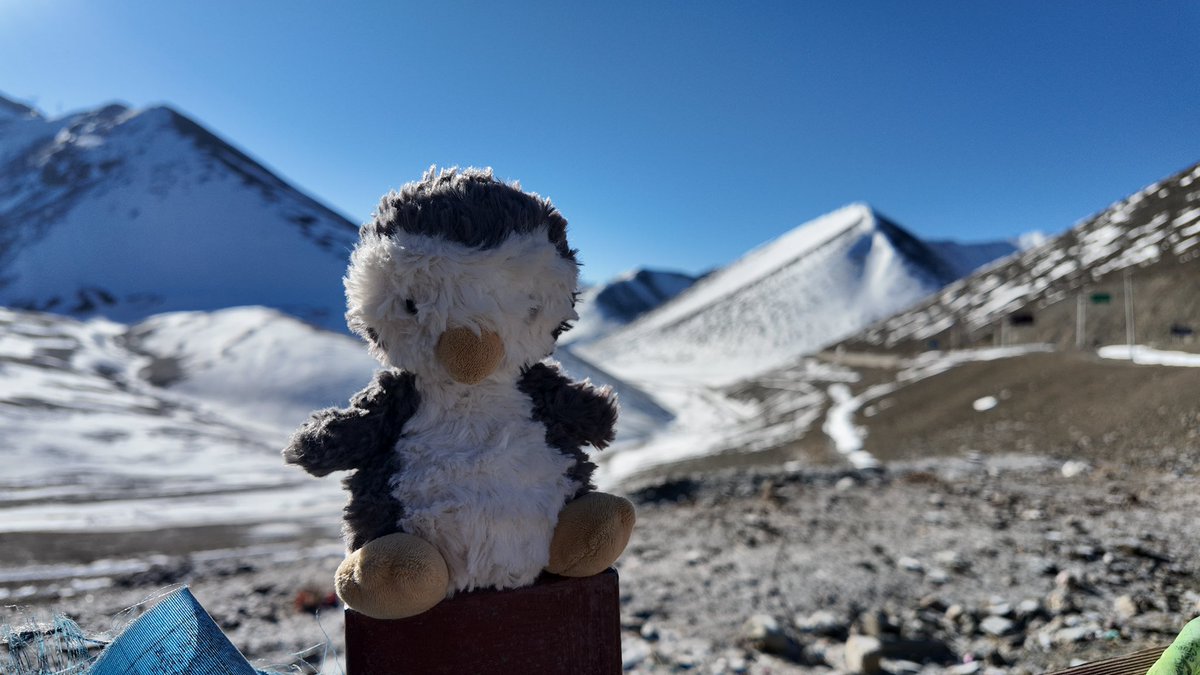 fish250213's tweet image. 小鹅旅行日记