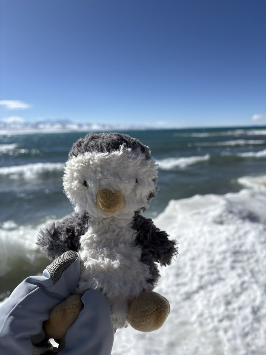 fish250213's tweet image. 小鹅旅行日记