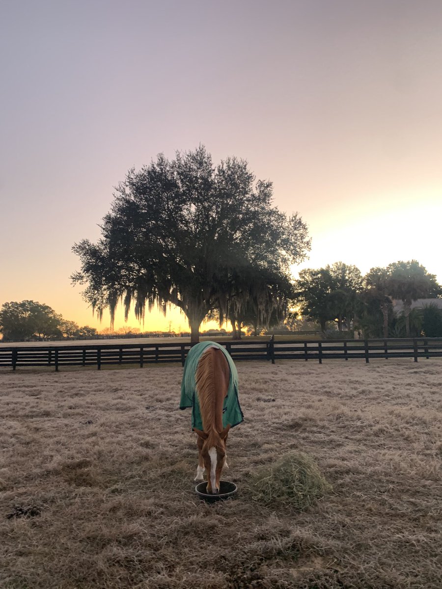 Hot Scot Racing tweet media