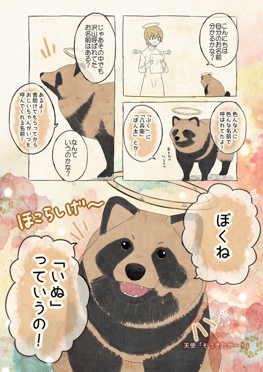 たぬきページ たぬき たぬきの赤ちゃん | I Love Higashiyama Zoo❣️