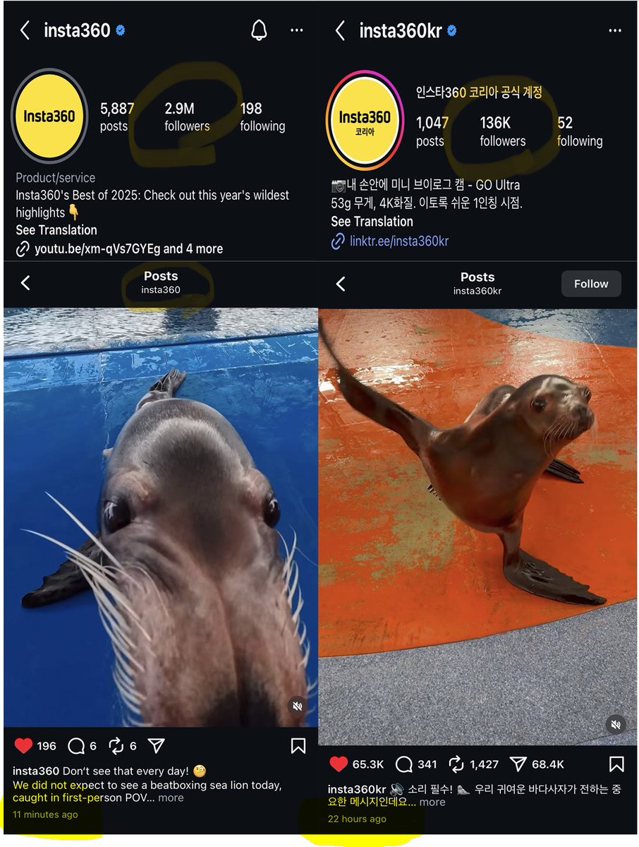Sea Lion🔸小小 tweet media
