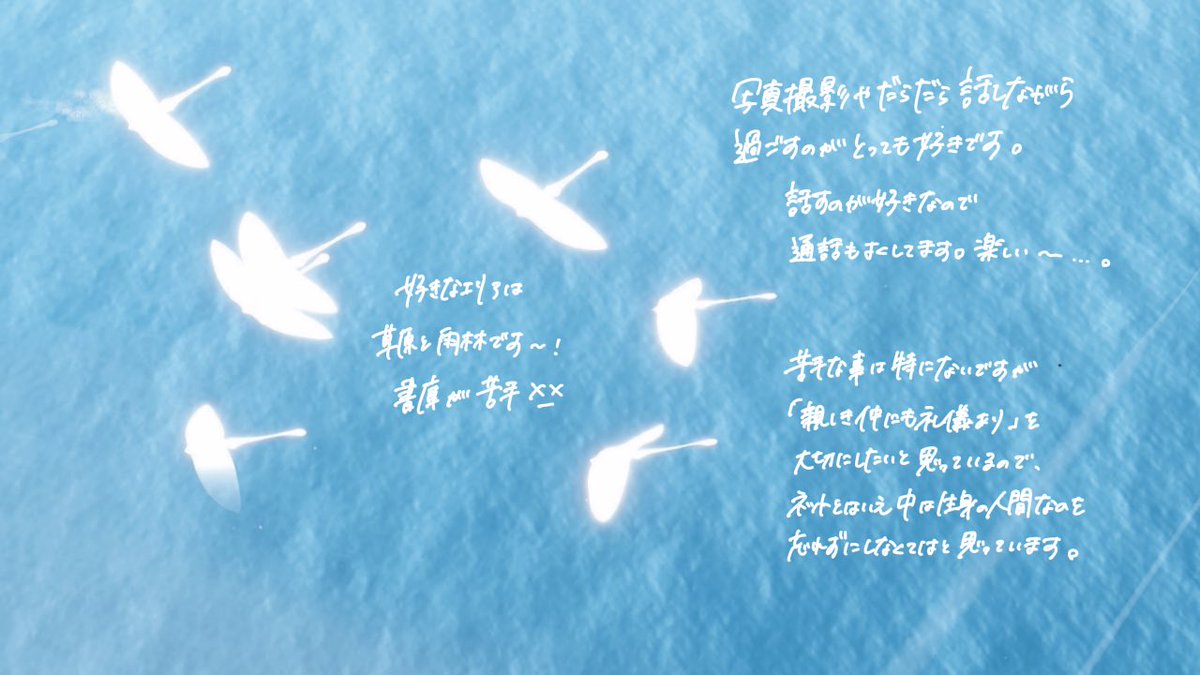 晴 SkyArtFest 8.15 tweet media