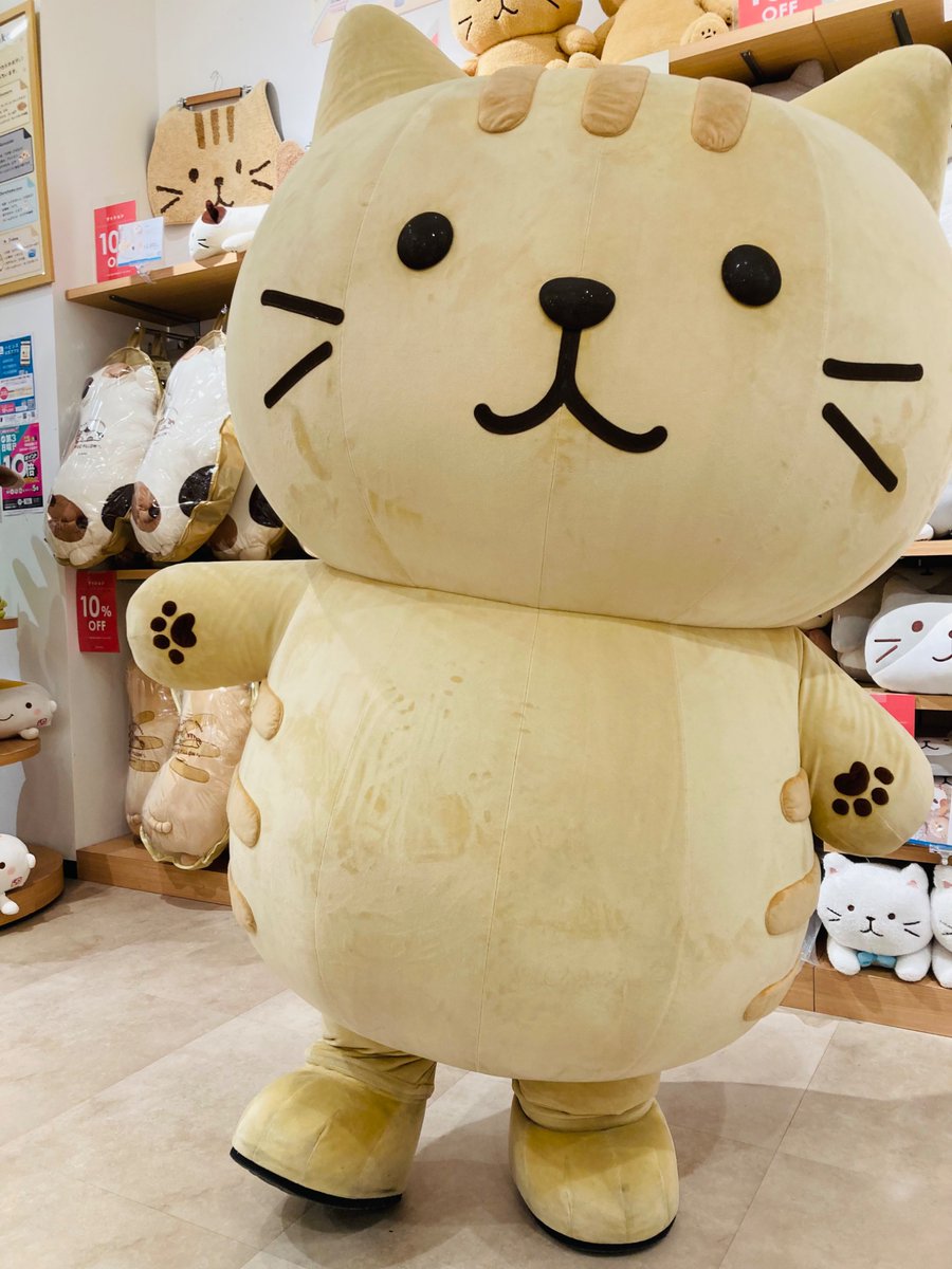 チャチャ丸