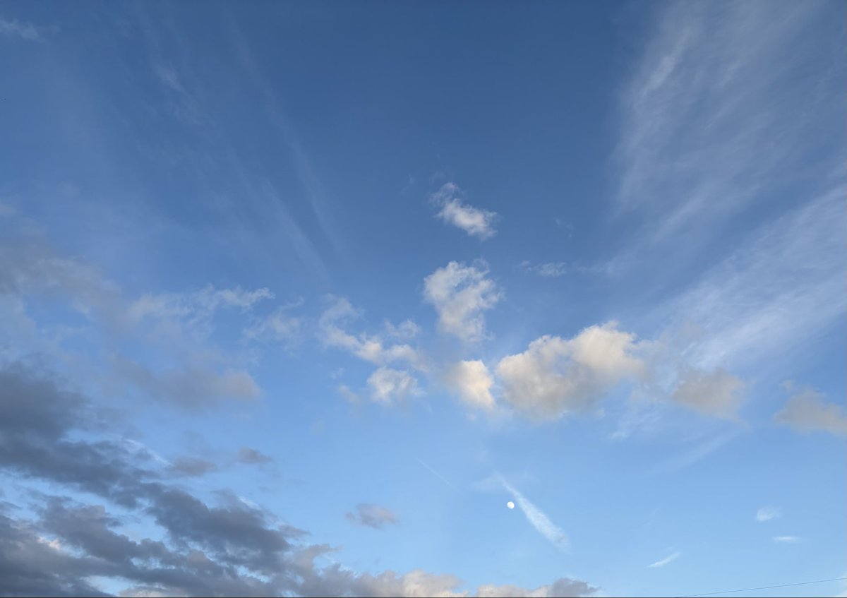 旧年中はたくさんの方にお世話になり、
誠にありがとうございました。
2026年も元気に頑張って参りますので
どうぞ宜しくお願いいたします！

楽しいお正月を〜ヽ(*＾ω＾*)🎍