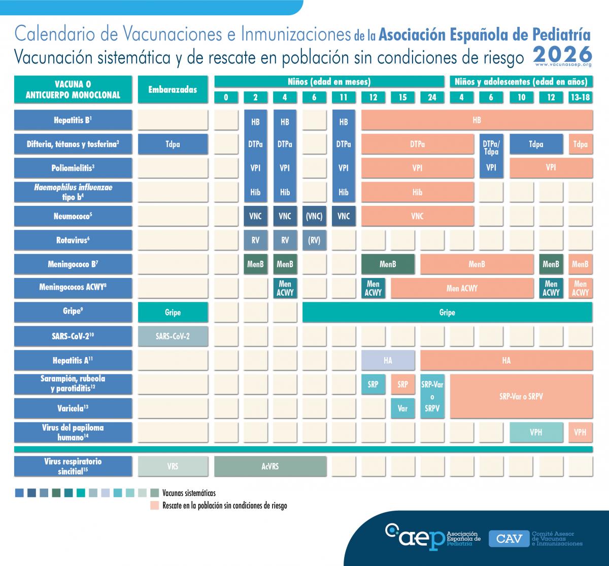 CAV_AEP's tweet image. 🔊Calendario de vacunaciones e inmunizaciones de la AEP 2️⃣0️⃣2️⃣6️⃣
Novedades 🧵(1/3):
- Vacunación VHA en dosis única a los 12-15 meses. Rescate con 1 dosis a niños y adolescentes sanos no vacunados con anterioridad
- Establecimiento de franjas de rescate
vacunasaep.org/profesionales/…