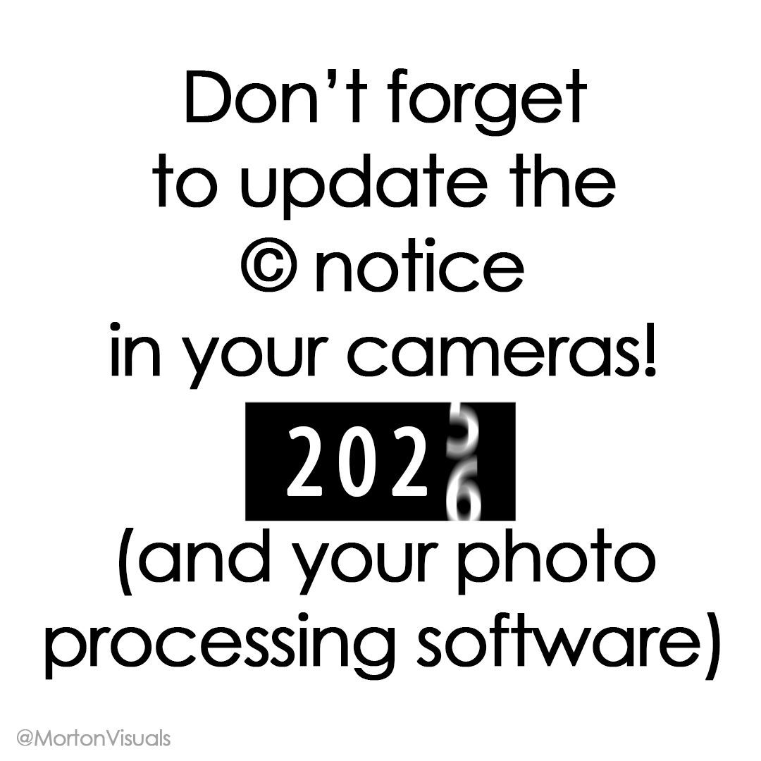 Morton Visuals tweet media