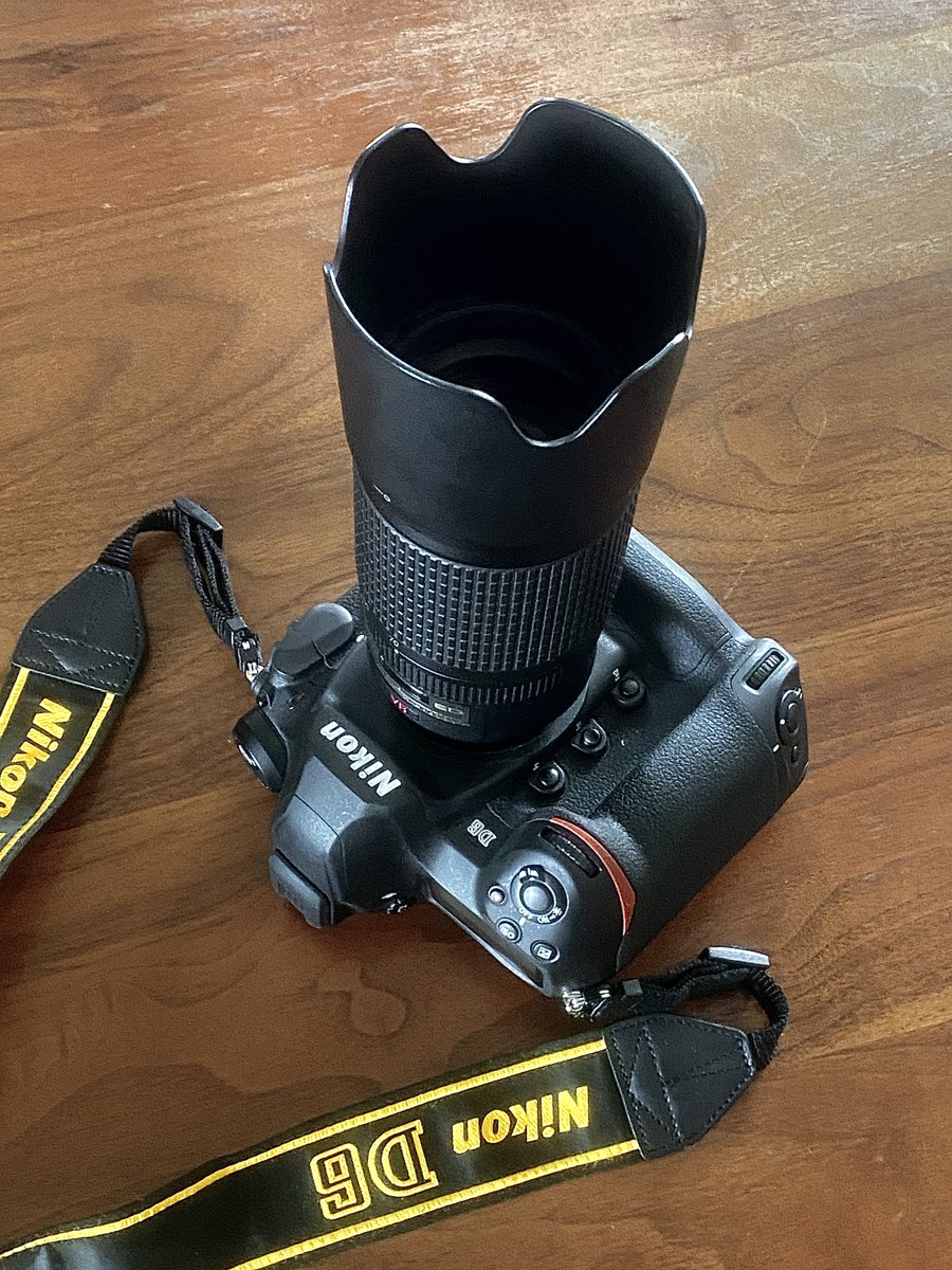 写真も忘れとるマン！ tweet media