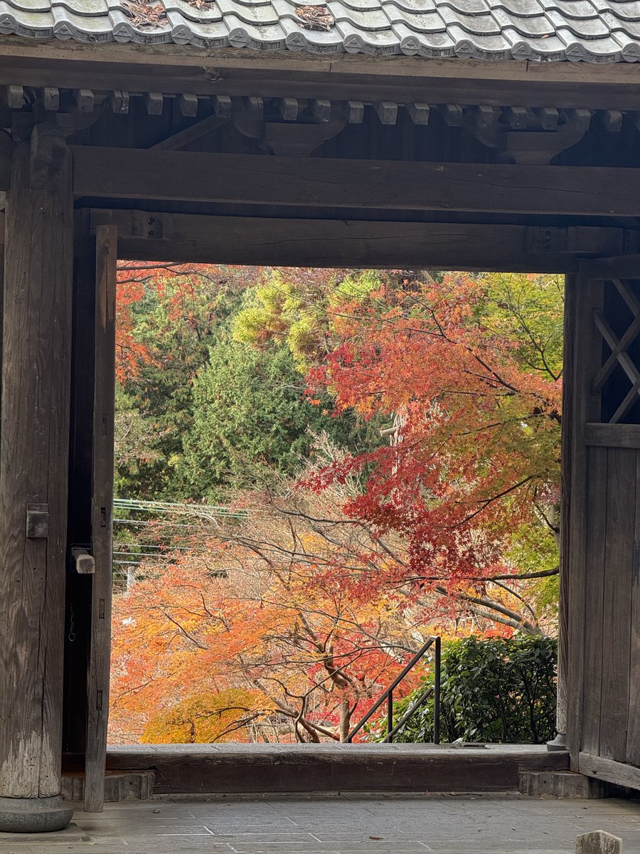 Dice_Carver's tweet photo. picture gateway

#picturewindow #picturegateway #impressionist #reality #enkakuji #kamakura #japan #zen #buddhist #temple #architecture #円覚寺 ＃鎌倉 https://t.co/qCFEBOapQu