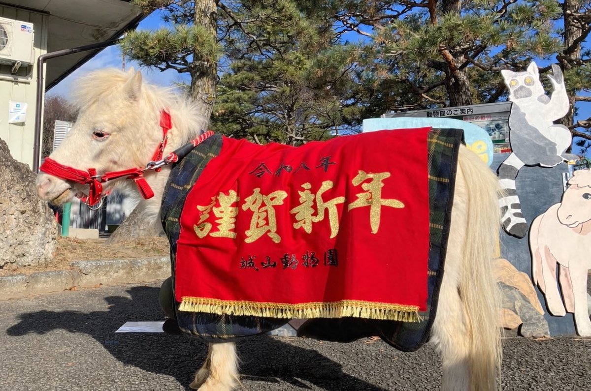 🎍あけましておめでとうございます🎍 今年もどうぞよろしくお願い