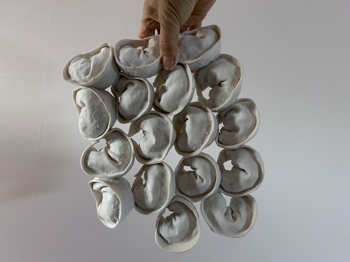 kimguguen's tweet image. 현대미술 작품 같다. 
얼어버린 만두(2026)