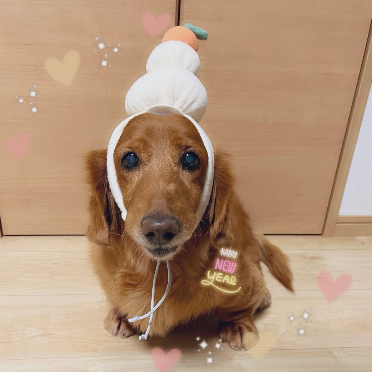 あけおめ ことよろです❕🎀◝✩